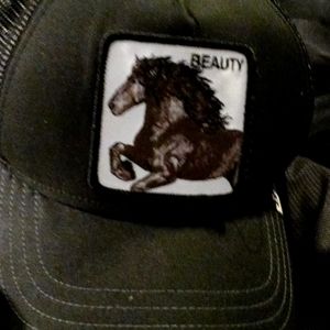 Black Horse /Beauty Hat.